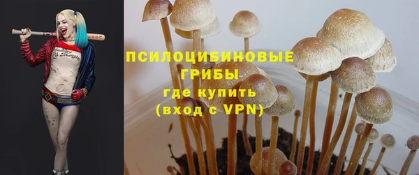 прущие крисы Зерноград