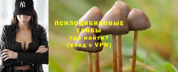 прущие крисы Зерноград