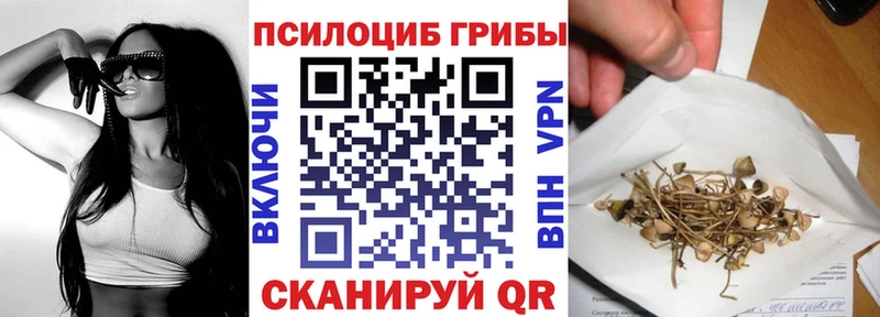Псилоцибиновые грибы GOLDEN TEACHER  Купить где  Болохово 